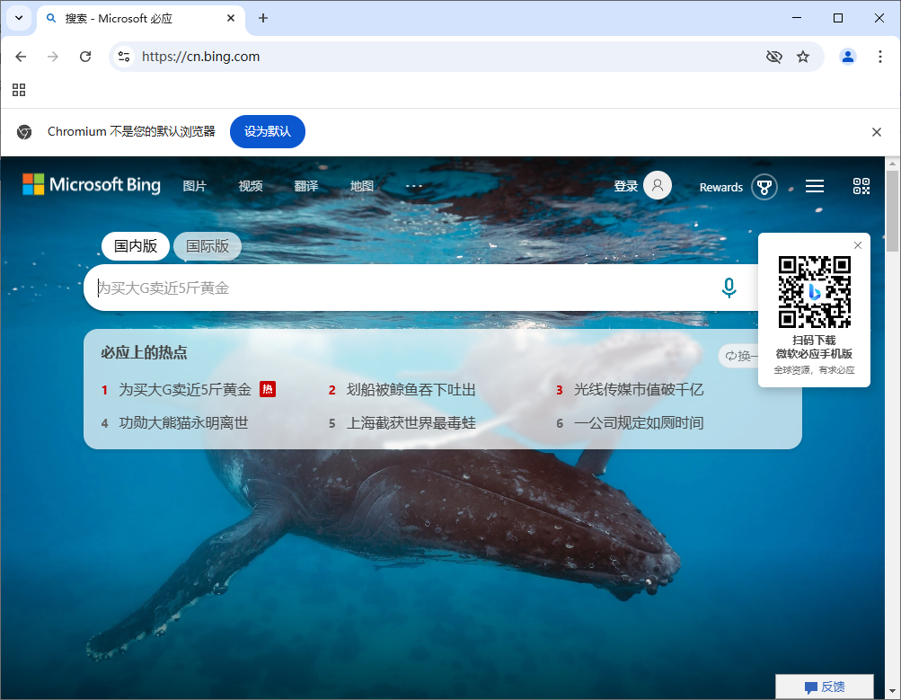 Ungoogled-Chromium v133.0.6943.98-1.1 中文绿色版-颜夕资源网-第12张图片